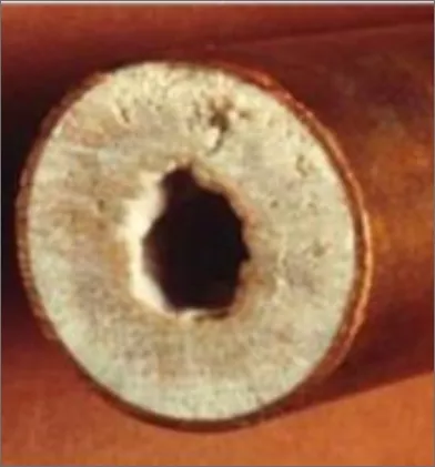 Water filters