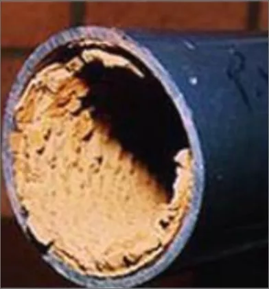 Water filters