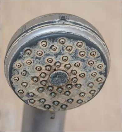 Water filters